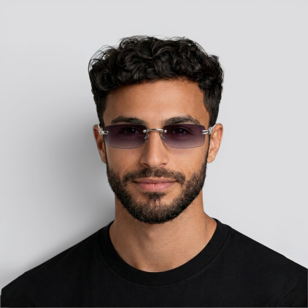 Nexel Silver Auto-Shade