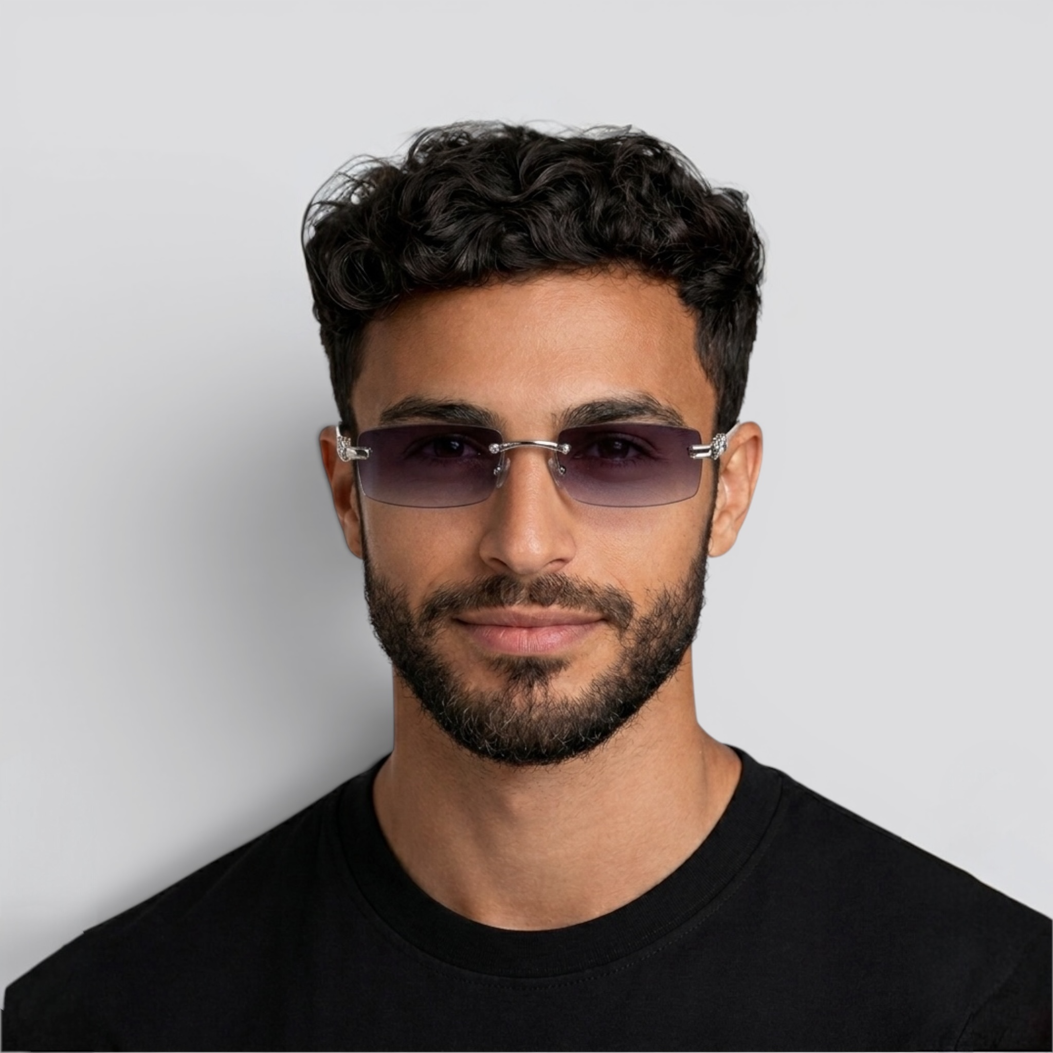 Nexel Silver Auto-Shade