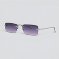 Nexel Silver Auto-Shade